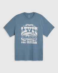 Футболка мужская Levi's с принтом 1159845684 (Синий XS)