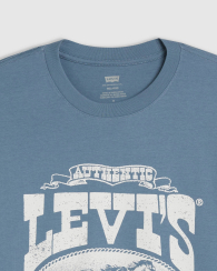 Футболка мужская Levi's с принтом 1159845684 (Синий XS)