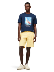 Мужская футболка Tommy Hilfiger с принтом 1159846163 (Синий L)