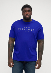 Чоловічі футболки Tommy Hilfiger з логотипом 1159847505 (Синій S)