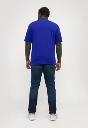 Чоловічі футболки Tommy Hilfiger з логотипом 1159847505 (Синій S)