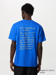 Футболка UNIQLO з принтом Henri Matisse 1159847567 (Синій XL)