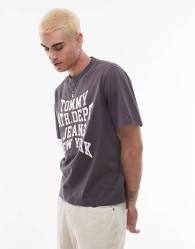 Мужская футболка Tommy Hilfiger с логотипом 1159852398 (Серый L)