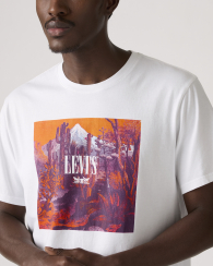 Футболка чоловіча Levi's з принтом 1159856013 (Білий XXL)