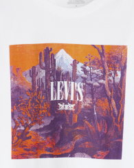 Футболка чоловіча Levi's з принтом 1159856013 (Білий XXL)