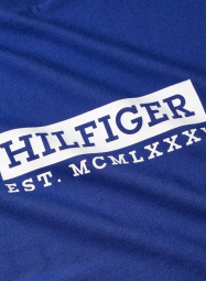 Мужская футболка Tommy Hilfiger с логотипом 1159856953 (Синий XXL)