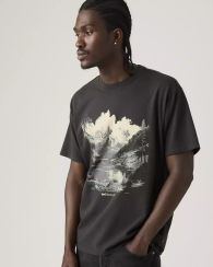 Футболка чоловіча Levi's з принтом 1159857056 (Сірий XL)