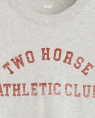 Футболка чоловіча Levi's з принтом 1159857179 (Сірий XL)