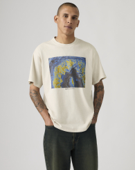 Мужская футболка Levi's с принтом 1159857376 (Серый XL)