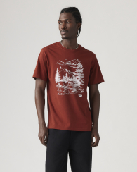 Футболка мужская Levi's с принтом 1159857722 (Бордовый M)