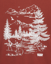 Футболка чоловіча Levi's з принтом 1159857629 (Бордовий XXL)