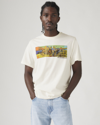 Мужская футболка Levi's с принтом 1159857669 (Молочный S)