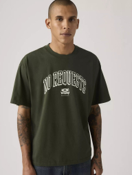 Футболка мужская Levi's с принтом 1159860689 (Зеленый M)