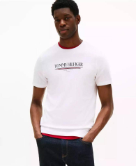 Мужская футболка Tommy Hilfiger с логотипом 1159860824 (Белый M)