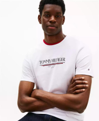 Мужская футболка Tommy Hilfiger с логотипом 1159860824 (Белый M)