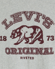 Жіноча футболка Levi's 1159862007 (Сірий M)