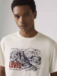 Футболка мужская Levi's с принтом 1159863254 (Молочный L)