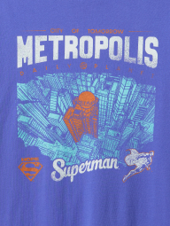 Мужская футболка GAP с принтом Superman 1159863288 (Синий XXL)