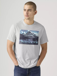 Футболка чоловіча Levi's з принтом 1159865473 (Сірий XL)
