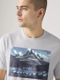 Футболка чоловіча Levi's з принтом 1159865473 (Сірий XL)