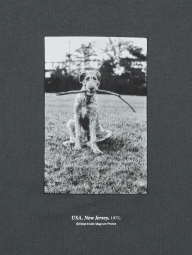 Футболка UNIQLO з принтом Elliott Erwitt UT 1160066354 (Сірий 3XL)