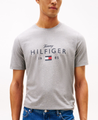Мужская футболка Tommy Hilfiger с логотипом 1160781960 (Серый XS)