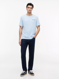 Мужская футболка Tommy Hilfiger с принтом 1161362559 (Голубой 3XL)
