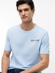 Мужская футболка Tommy Hilfiger с принтом 1161362559 (Голубой 3XL)