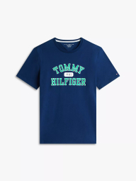 Мужская футболка Tommy Hilfiger 1161466437 (Синий L)