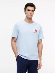 Мужская футболка Tommy Hilfiger 1161469056 (Голубой M)