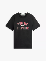 Мужская футболка Tommy Hilfiger 1161469693 (Черный XXL)