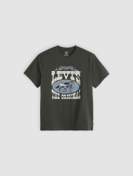 Жіноча футболка Levi's з принтом 1161614974 (Зелений S)