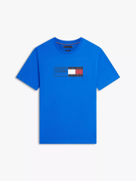Мужская футболка Tommy Hilfiger с логотипом 1162569722 (Синий L)