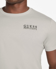 Мужская футболка Guess с логотипом 1162656156 (Серый XL)