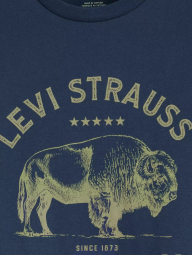 Жіноча футболка Levi's з принтом 1163295148 (Синій XL)