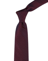 Мужской галстук Tommy Hilfiger 1159841955 (Синий/Красный One size)