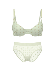 Сітчастий комплект білизни Victoria's Secret бюст та трусики хіпхагери 1159860240 (Салатовий 36B/M)