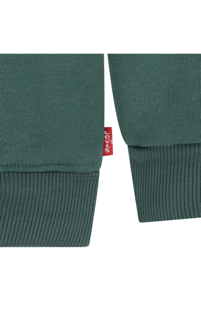 Детский костюм на флисе Levi's худи и джоггеры 1159860178 (Зеленый 12M) на рост 74-80 см