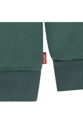 Детский костюм на флисе Levi's худи и джоггеры 1159860178 (Зеленый 12M) на рост 74-80 см