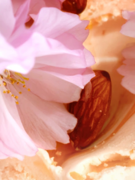 Набор для тела Velvet Petals Brulee Victoria’s Secret мист и лосьон 1159845860 (Розовый 236 ml/250 ml)