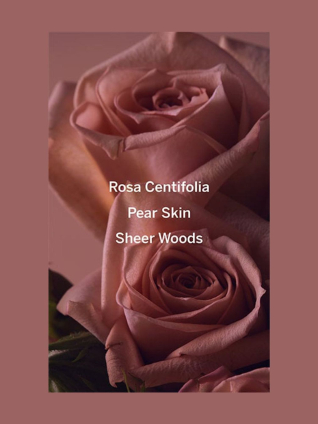 Набор для тела Bare Rose Victoria’s Secret мист, лосьон и скраб 1159847506 (Розовый One size)