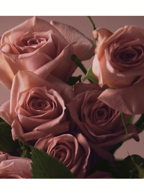 Набор для тела Bare Rose Victoria’s Secret мист, лосьон и скраб 1159847506 (Розовый One size)