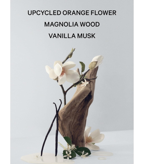 Набор для тела Bare Magnolia Victoria’s Secret мист и лосьон 1159852716 (Бежевый 250 ml/250 ml)