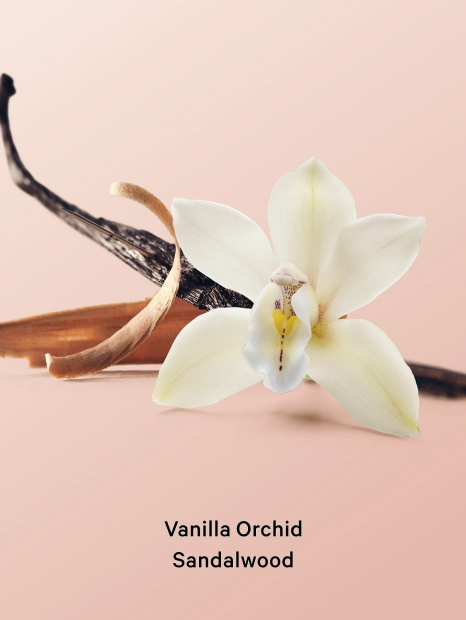 Набор для тела Vanilla Orchid Sandalwood Victoria’s Secret скраб, масло, лосьон и мист 1159852775 (Бежевый One Size)