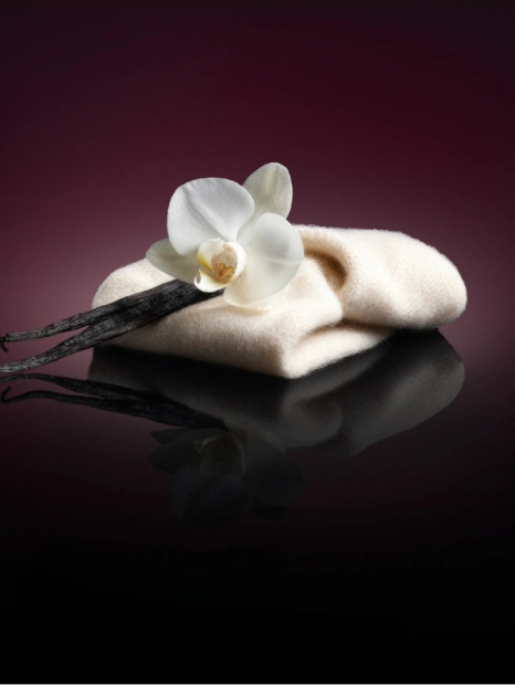 Набір для тіла Bare Vanilla Intense Victoria's Secret міст та лосьйон 1159856216 (Помаранчевий 236 ml/250 ml)