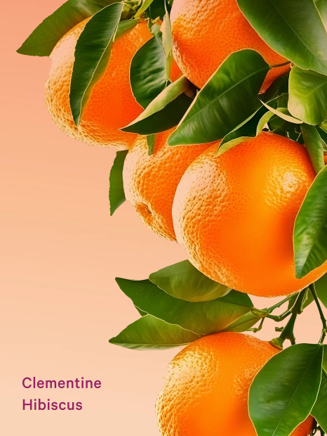 Набір для тіла Clementine Hibiscus Feel Energized Victoria Secret VSX 1159857610 (Помаранчевий One Size)