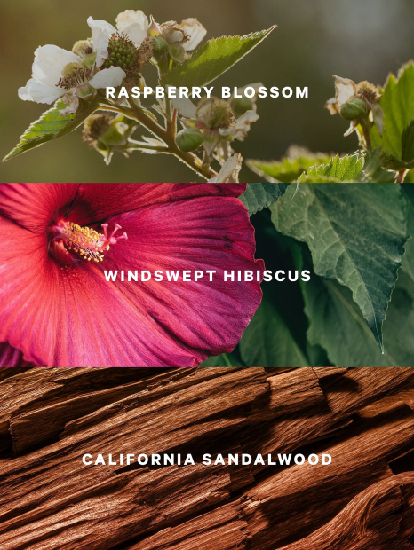 Набор для тела Serene Blooms with Raspberry Blossom Victoria’s Secret 1159859129 (Сиреневый 236 ml/250 ml)