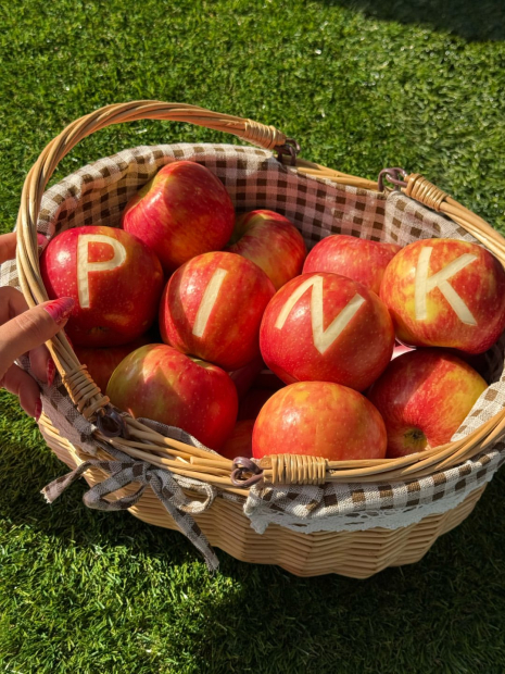Набір для тіла That Apple Victoria Secret Pink 1162543379 (Червоний 236 ml/250 ml)
