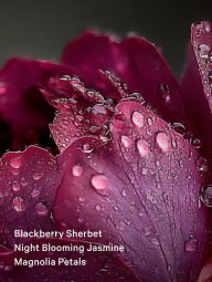 Набор для тела Sultry Petals Victoria’s Secret мист и лосьон 1159843169 (Розовый 236 ml/250 ml)