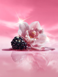 Набор для тела Velvet Petals Joy Shimmer от Victoria’s Secret 1159849709 (Розовый One Size)